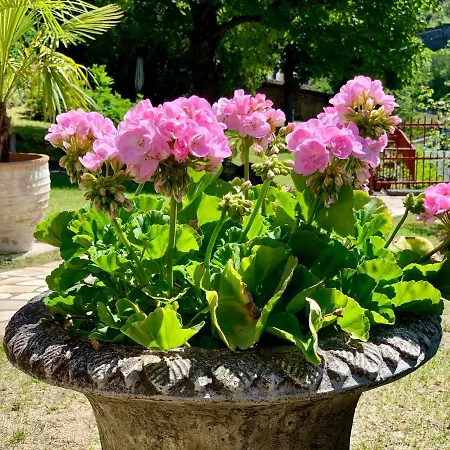 Bed & Breakfast St. Hubert *