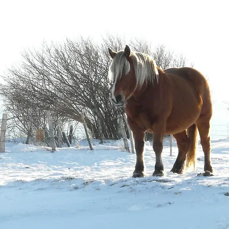 St. Hubert