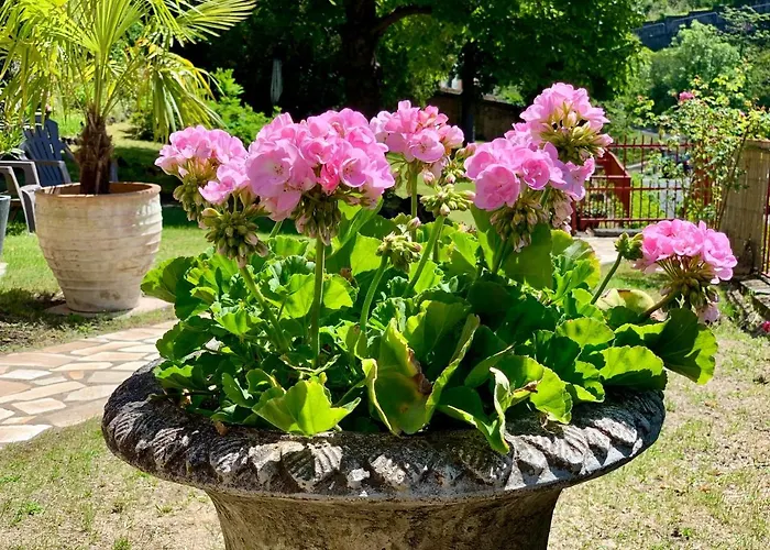 住宿加早餐酒店 圣休伯特别墅酒店 3*