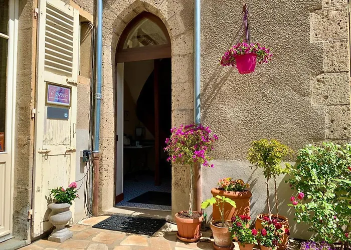 St. Hubert Saint-Nectaire